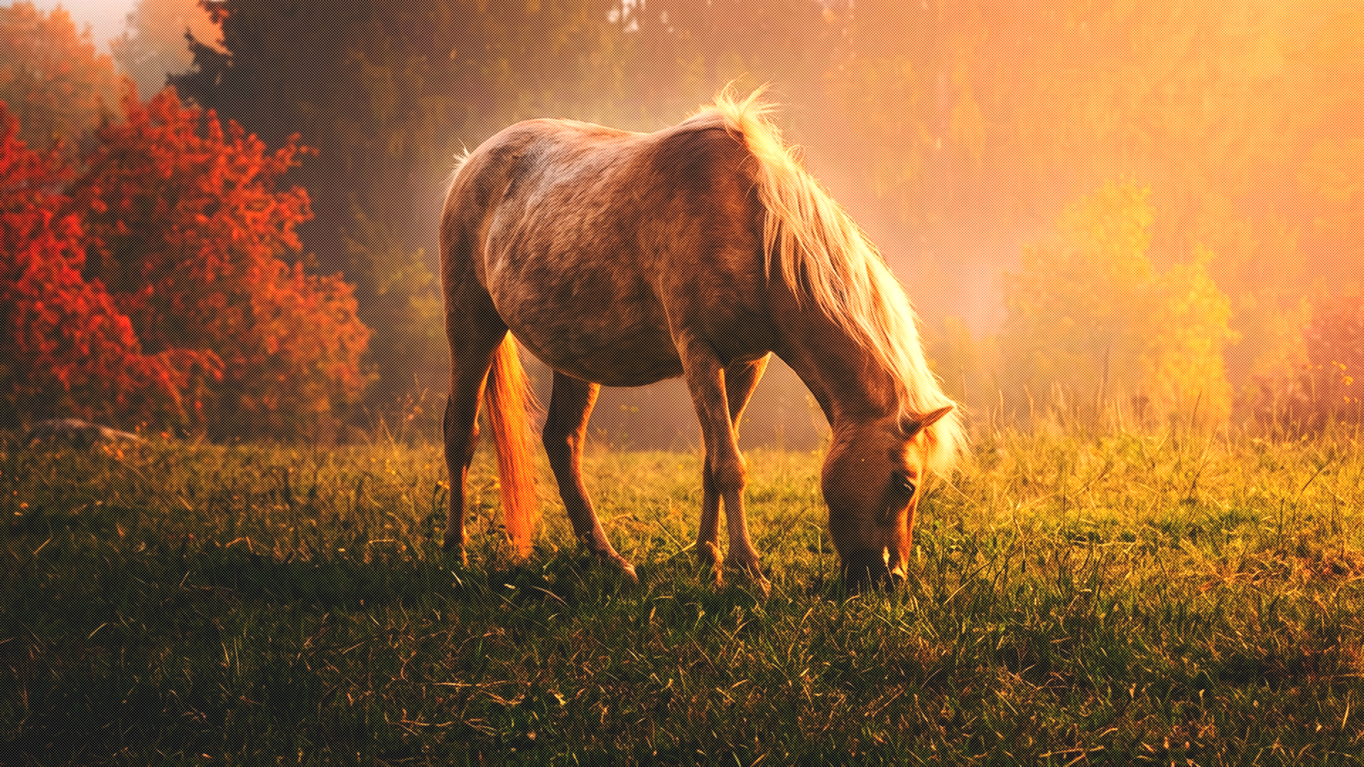 benjaminrumpf-photography