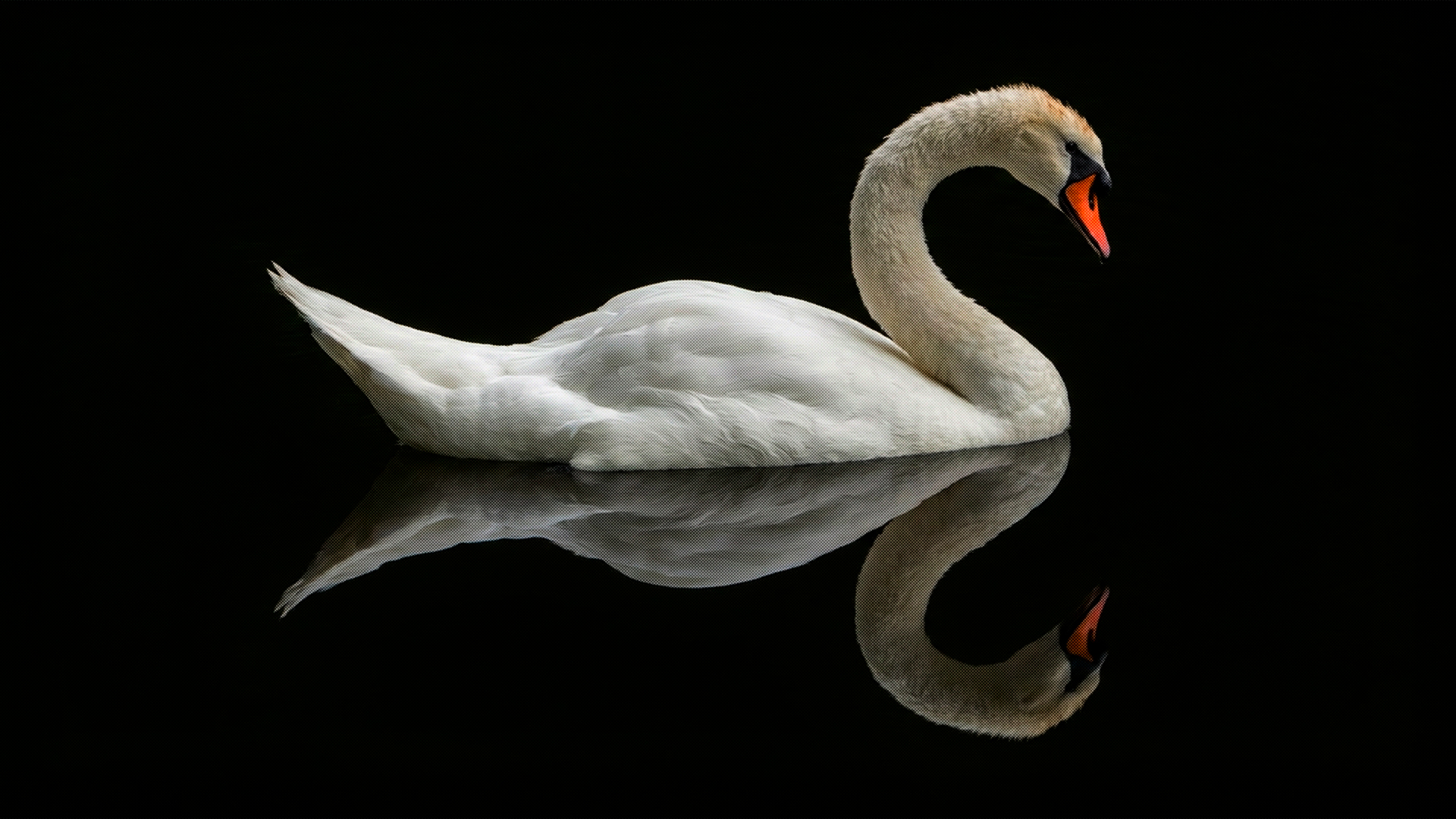 benjaminrumpf-photography